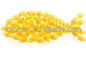 Poudre comestible de gélatine de poissons d'échelle de peau de poissons de CAS 9000-70-8