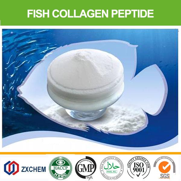Peptide HALAL 300d de collagène de poissons