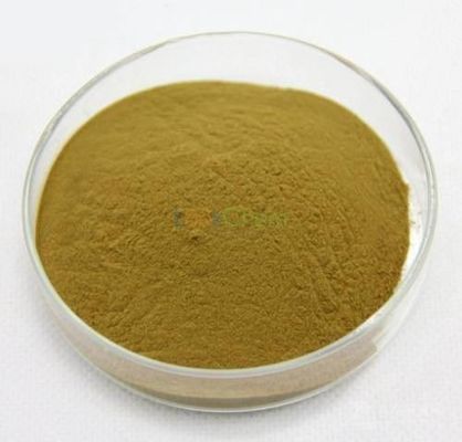Pea Hydrolyzed Vegetable Protein Powder GMO libre pour la boisson de nourriture