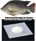 Les poissons viables diététiques ont basé des peptides de poudre de collagène