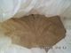 CAS 8002-80-0 pour cent Vital Wheat Gluten Powder Bulk de HACCP 82